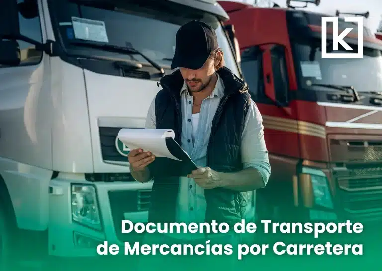 Documento de Transporte de Mercancías