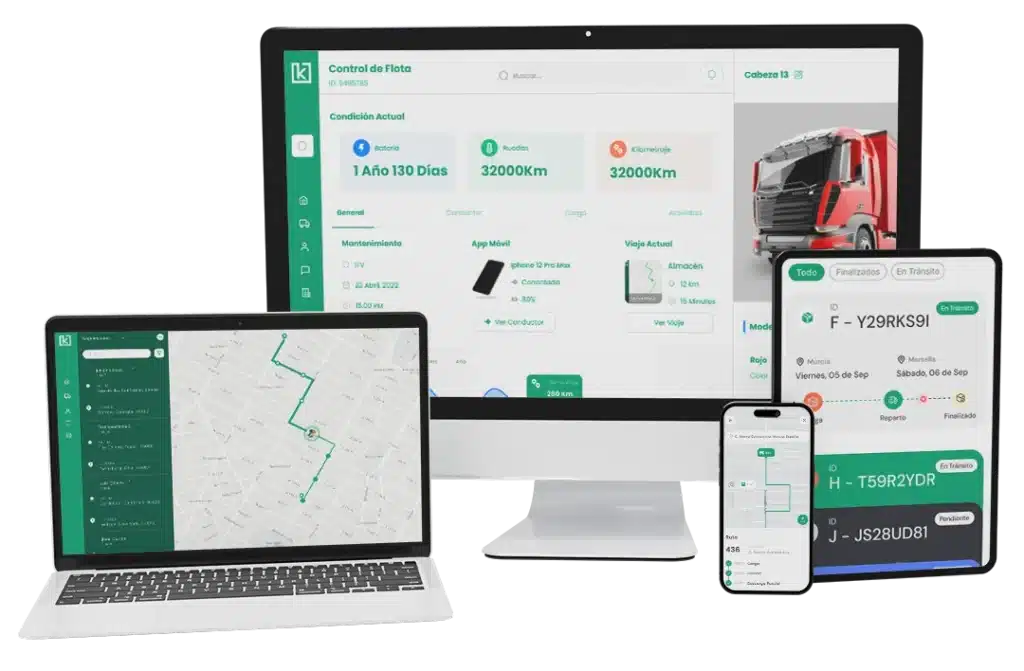 Software de gestión de transporte