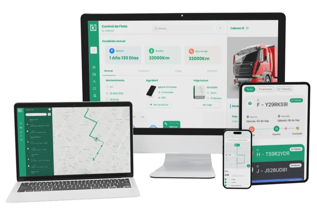 Software de gestión de transporte